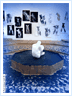 Installation | Viciouscircle